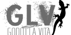 logo goditi la vita logo goditi la vita